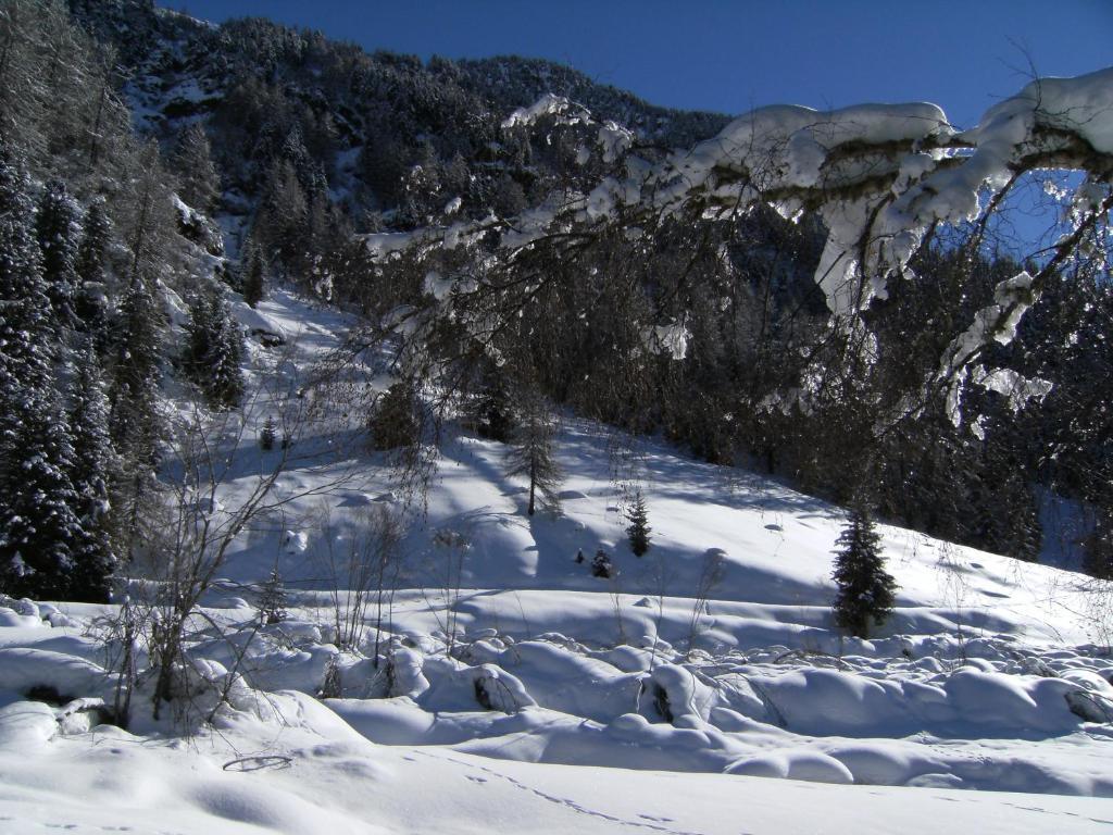 Albergo Thurwieser ซานตา กาเตรีนา วัลฟูร์วา ภายนอก รูปภาพ