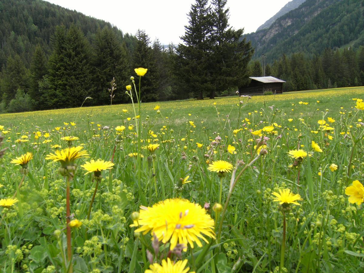 Albergo Thurwieser ซานตา กาเตรีนา วัลฟูร์วา ภายนอก รูปภาพ